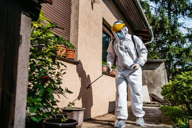 Best Residential Pest Control  in Tellico Plains, TN