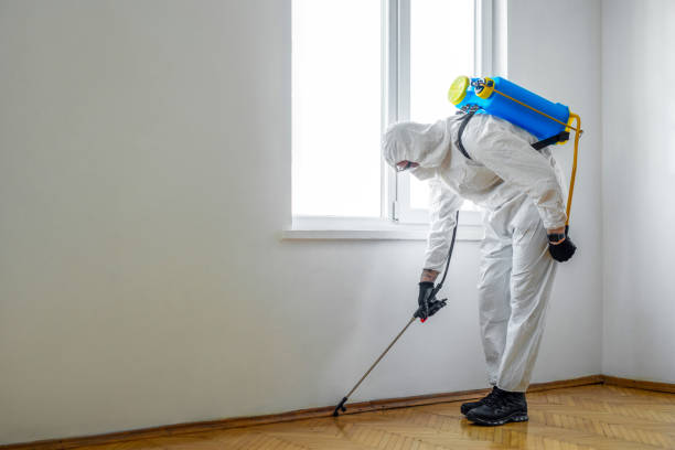 Best Mosquito Control Services  in Tellico Plains, TN