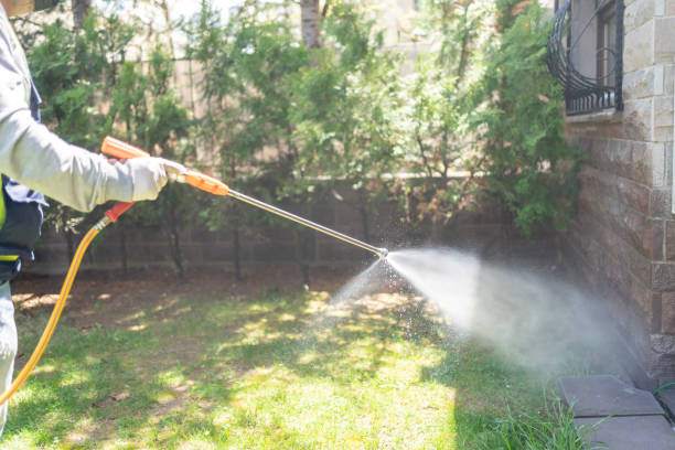 Professional Pest Control in Tellico Plains, TN