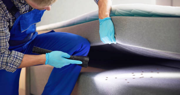 Best Bed Bug Extermination  in Tellico Plains, TN